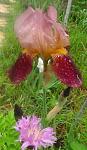     
: DSC01088.jpg
: 11
:	123.7 
ID:	11213320