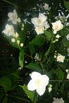     
: DSC01075.jpg
: 10
:	257.1 
ID:	11213324