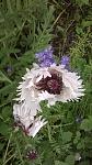     
: WP_20160531_015[1].jpg
: 11
:	102.4 
ID:	11218193
