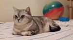     
: 20160325_201655.jpg
: 11
:	67.3 
ID:	11220381