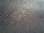     
: PICT0164.jpg
: 3
:	142.4 
ID:	11220643