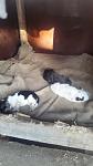     
: 20160606_190017.jpg
: 24
:	59.2 
ID:	11230026