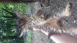     
: DSC_0656.jpg
: 14
:	105.8 
ID:	11230075