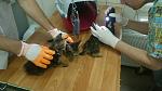     
: 0M_PiWaTV0s.jpg
: 11
:	147.3 
ID:	11230486