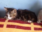     
: image1 (1).JPG
: 17
:	86.6 
ID:	11230612