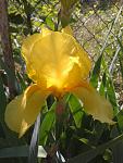     
: 20130518_112235.jpg
: 98
:	95.6 
ID:	11230793