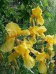     
: 20160522_192207.jpg
: 80
:	127.9 
ID:	11230830