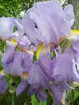     
: 20160522_192624.jpg
: 91
:	81.0 
ID:	11230832