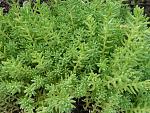     
: 20160522_193132-min.jpg
: 88
:	205.2 
ID:	11231523
