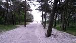     
: 20160528_184231.jpg
: 34
:	172.0 
ID:	11233349