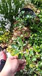     
: IMG_20160608_152601.jpg
: 83
:	183.1 
ID:	11233705