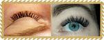     
: FotorCreatedkhc.jpg
: 12
:	54.6 
ID:	11234096