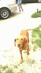     
: WP_20160608_001.jpg
: 16
:	56.6 
ID:	11234840