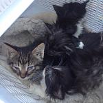     
: image18.JPG
: 127
:	144.9 
ID:	11235797