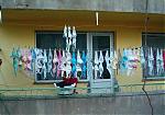     
: 14_podborka_63.jpg
: 122
:	58.3 
ID:	112368