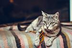     
: IMG-46.jpg
: 9
:	242.1 
ID:	11241523