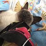     
: IMG_0337.JPG
: 32
:	231.0 
ID:	11241931