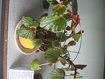     
: IMG_3344_forum.jpg
: 8
:	141.7 
ID:	11242400