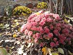     
: 2015-10-25 15.39.42.jpg
: 8
:	261.4 
ID:	11242404