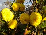     
: 2015-10-25 15.42.07.jpg
: 7
:	151.9 
ID:	11242405