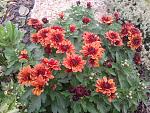     
: 2015-10-25 15.43.00.jpg
: 10
:	229.3 
ID:	11242408