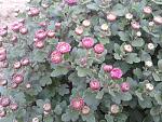    
: 2015-10-25 15.43.08.jpg
: 13
:	179.2 
ID:	11242409