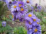     
: 2015-10-25 15.45.25.jpg
: 8
:	168.7 
ID:	11242411