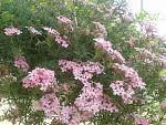     
: 2016-06-11 15.11.49.jpg
: 7
:	257.2 
ID:	11242418