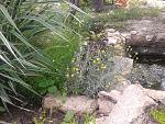     
: 2016-06-11 15.12.55.jpg
: 16
:	293.2 
ID:	11242425