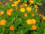     
: 2016-06-11 15.14.25.jpg
: 14
:	181.2 
ID:	11242428