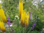     
: 2016-06-11 15.15.37.jpg
: 16
:	284.0 
ID:	11242430