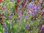     
: 2016-06-11 15.16.14.jpg
: 14
:	301.9 
ID:	11242435