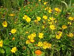     
: 2016-06-11 15.16.29.jpg
: 10
:	293.6 
ID:	11242436