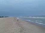     
: image.jpg
: 63
:	154.5 
ID:	11243062