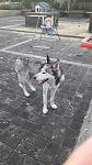     
: VLLNplW36eQ.jpg
: 8
:	134.7 
ID:	11243132