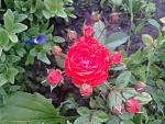     
: 2016-05-25 18.06.50.jpg
: 9
:	132.2 
ID:	11243159