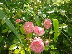     
: 2016-06-11 15.13.38.jpg
: 17
:	208.2 
ID:	11243160