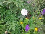     
: 2016-06-11 15.15.29.jpg
: 18
:	224.2 
ID:	11243168