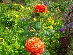     
: 2016-06-11 15.16.05.jpg
: 8
:	292.5 
ID:	11243177