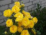     
: 2016-05-24 17.52.17.jpg
: 4
:	160.3 
ID:	11244428