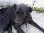     
: Photo-0102.jpg
: 8
:	58.0 
ID:	112447