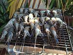     
: IMG_0742.jpg
: 37
:	148.1 
ID:	11244940