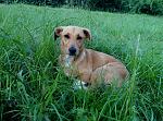     
: P60611-080050.jpg
: 18
:	274.4 
ID:	11245815