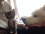     
: 7CWbMUOAA04.jpg
: 10
:	113.5 
ID:	11245928