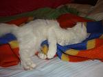     
: DSC03853.JPG
: 16
:	77.2 
ID:	1124617