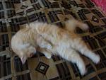     
: DSC03877.JPG
: 20
:	86.9 
ID:	1124619