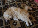     
: DSC03878.JPG
: 23
:	103.6 
ID:	1124620