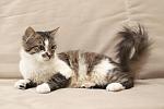    
: F4ZbK2aD4N0O50jOXQwPGIfGKqkgkdfacmcQQNjfvkg,FY3wMzIV-1NeeMP09EjJcQjH6ZBi3FtMj709qO_KEJk.jpg
: 15
:	53.9 
ID:	11246826