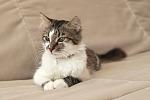     
: 4rwUTZb478kX9S53b-VJQpxBdyXsdP2wwK5ikOxE_ns,wD0v9hqd0WMbjJcWVowCIuLYWk3yrClUxoZu-XIi0K4.jpg
: 20
:	46.1 
ID:	11246827
