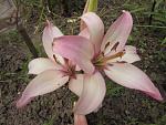     
: IMG_1313.jpg
: 7
:	138.5 
ID:	11246979